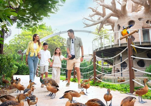 Dubai Safari Park Tickets