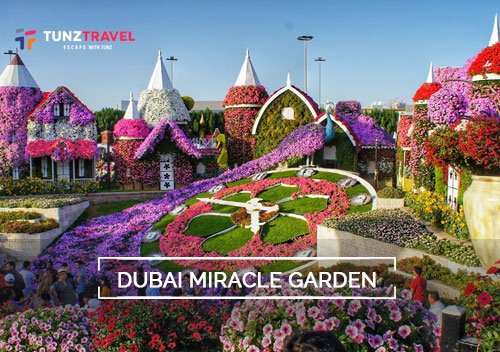 Miracle Garden Dubai Tickets