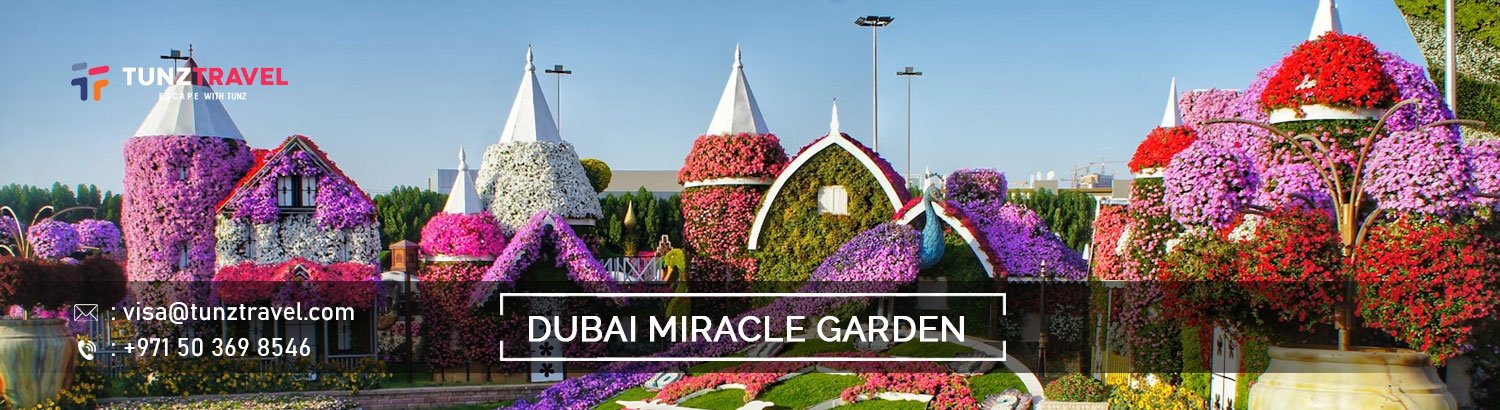 Dubai Miracle Garden