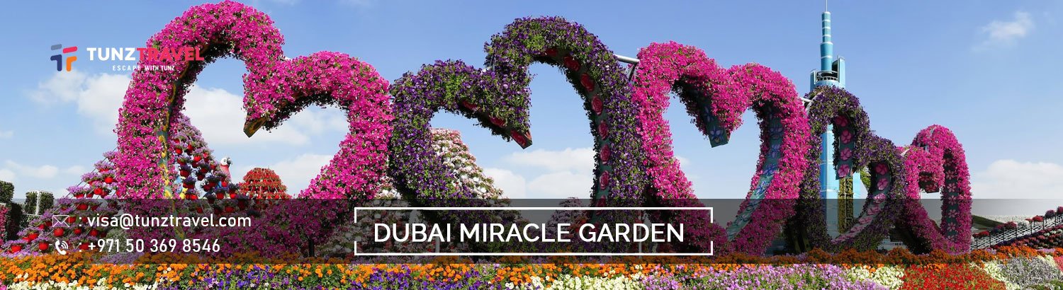 Dubai Miracle Garden
