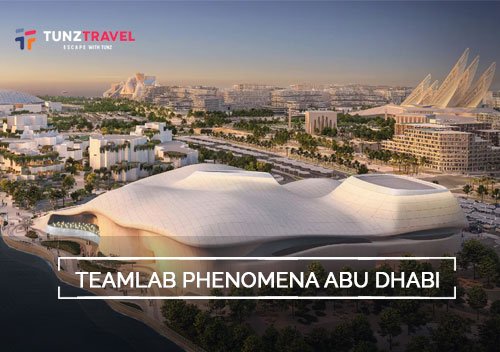 Teamlab Phenomena Tickets