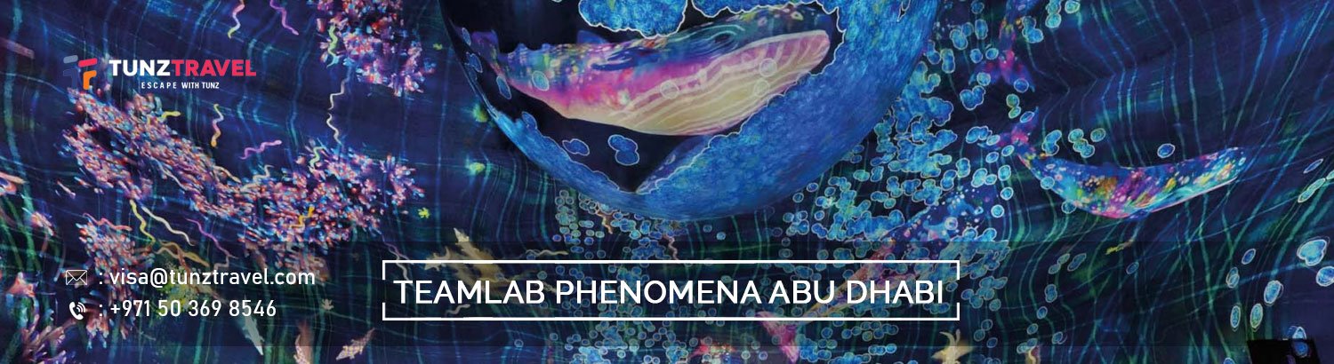 TeamLab Phenomena Abu Dhabi
