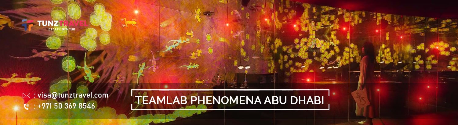 TeamLab Phenomena Abu Dhabi