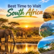 Best Time to Visit South Africa