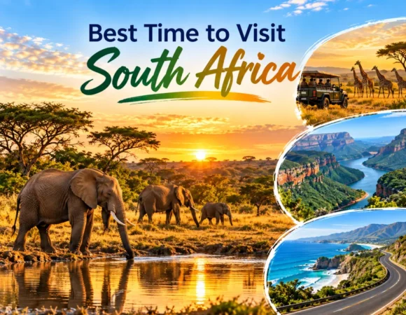 Best Time to Visit South Africa